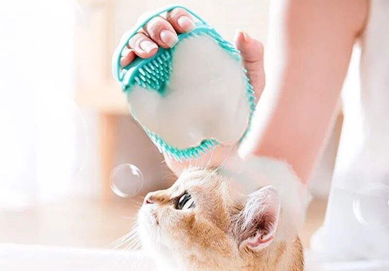 Silicone Bath Body Brush Shower Scrubber with Gel Dispenser